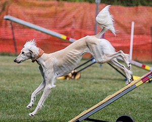 20200819-2357.jpg