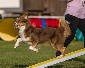 20220917-PVKC-1152.jpg
