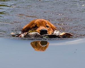 20130714-MHB2-0097.jpg