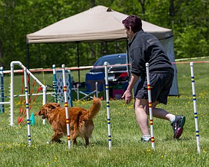 20170520-NEAT-1450.jpg