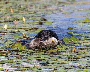 20160717-WCXW-0010.jpg