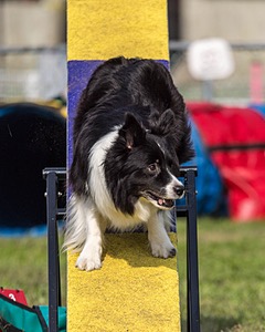 20220918-PVKC-0834.jpg