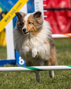 20230916-PVKC-1136.jpg