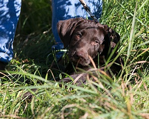 20130811-C-0005.jpg
