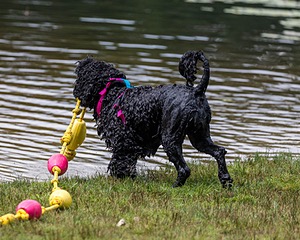 "Mistral" & Tobi-Ann