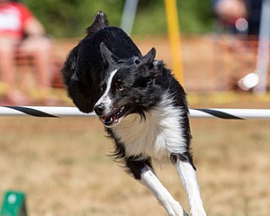 20160619-CCKC-0672.jpg
