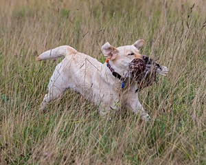 20180804-JHL-0007.jpg