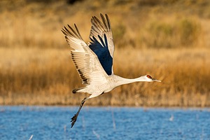 20151206-1667.jpg