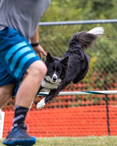 20200819-1530.jpg