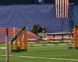 20150321-LEAP-1297.jpg