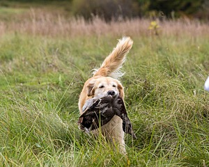 20211009-WCL-0033.jpg