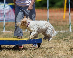 20160619-CCKC-1159.jpg