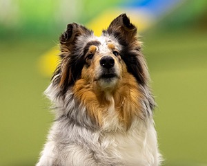 20260221-C-0012.jpg