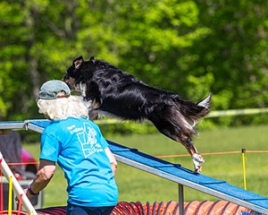 20170520-NEAT-0597.jpg