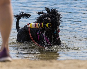 Penny Toby-Ann