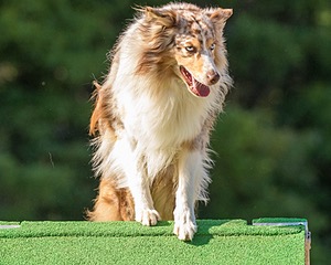 20160618-CCKC-2441.jpg