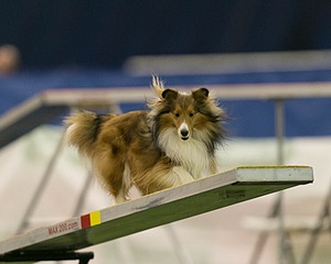 20150321-LEAP-1548.jpg