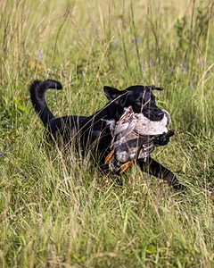 20230805-SHL-0004.jpg