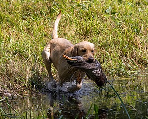 20200809-SHW-0020.jpg