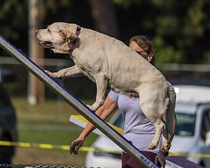Violet Duke