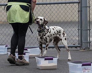 20260718-NSKC-0518.jpg