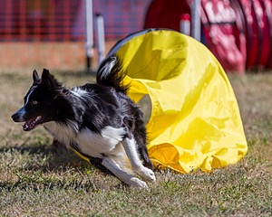 20160618-CCKC-0186.jpg