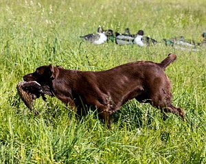 20210606-SEAL-0496.jpg