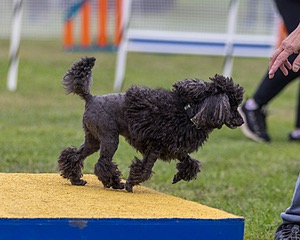 20230916-PVKC-0120.jpg