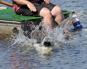 20170820-CWD-0061.jpg
