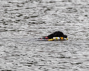 20210912-WWD-0498.jpg