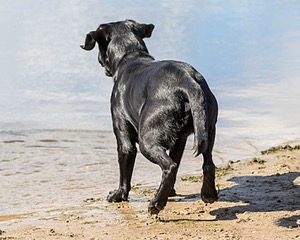 20160924-SHW-0012.jpg