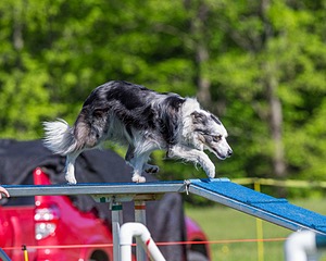 20170520-NEAT-0222.jpg