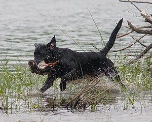 20080531-HRW-0988.jpg