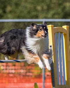 20200819-2637.jpg