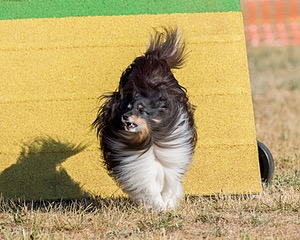 Daisy Witting