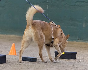 20260718-NSKC-0676.jpg