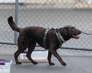 20260718-NSKC-0546.jpg