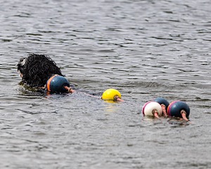 Zora Schaub