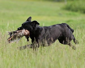 20080531-HRL-0182.jpg