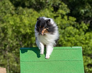 20160619-CCKC-0117.jpg