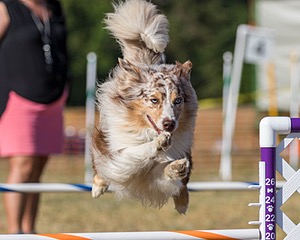20160618-CCKC-2449.jpg
