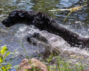 20170716-WCXW-1208.jpg