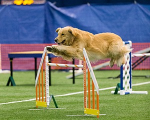 20150322-LEAP-0744.jpg