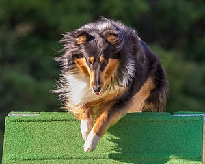 20160618-CCKC-2421.jpg