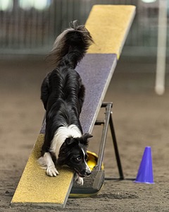 20260613-CCM-1336.jpg
