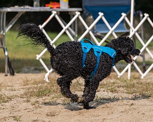 20210912-WWD-0185.jpg