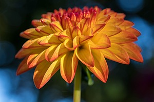 20211007-0056.jpg