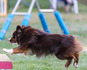 20200819-2804.jpg