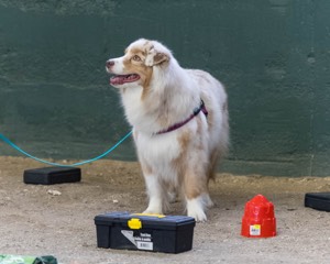 20260718-NSKC-0612.jpg