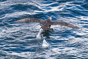 20260325-0078.jpg